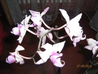  005.webp