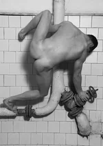 .webp
