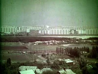 11.webp