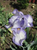 IMG_3490.webp
