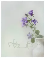 l-23.webp