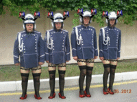 1556936068ae.gif