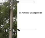 DSCF0586.webp