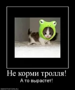 594790_ne-kormi-trollya.webp