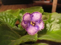 IMG_8919 (Копировать).webp