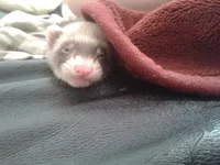 20120531_092452.jpg