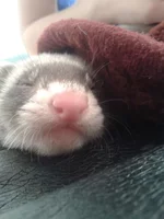 20120531_092526.jpg