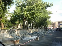 IMG_2377.jpg