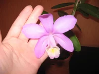 IMG_0693.webp