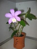 IMG_0704.webp