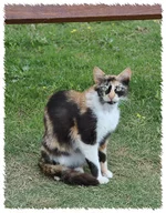 DSC_7045.webp