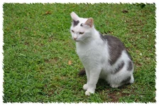 DSC_7048.webp