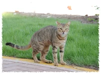 DSC_7178.webp
