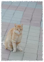 DSC_7184.webp
