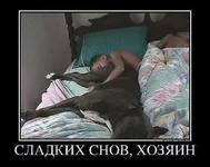 getImage197.webp