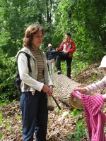  167.webp