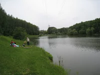  196.webp