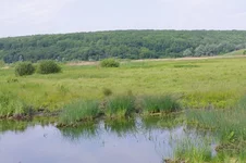 IMGP5226.webp