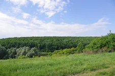 IMGP5239.webp