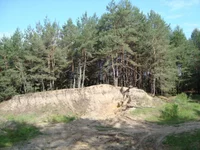 DSC03095.webp