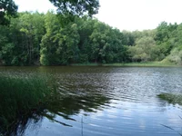 DSC03127.jpg