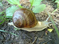 DSC03133.webp