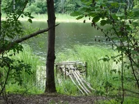 DSC03140.webp