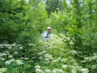 DSC03175.jpg