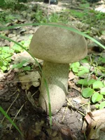 DSC03186.webp