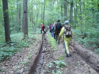 DSC03203.jpg