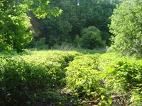 DSC03204.JPG