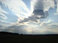 DSC03211.webp