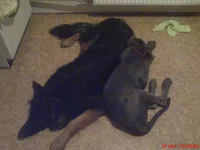 DSC03564.webp