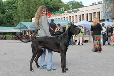 IMG_0672222222222222222.webp