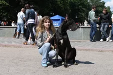 IMG_066777777777777777.webp