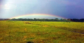 rainbow.webp
