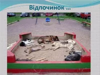 vplyv15.webp