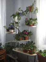 IMG_0011.webp