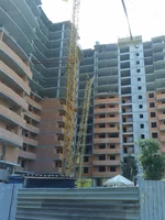 20120609_125919.jpg