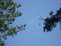 DSC03241.jpg