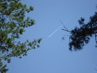 DSC03241.webp