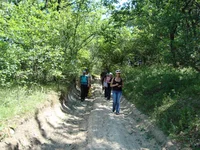 DSC03243.jpg