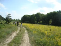 DSC03297.webp