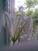 ____150.webp