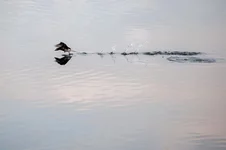 FSC_8764.webp