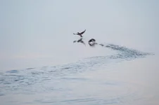 FSC_8776.webp