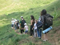 IMG_0186_resize.webp