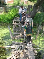 IMG_0192_resize.webp
