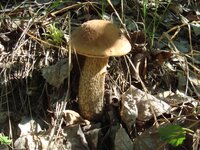 DSC03424.JPG