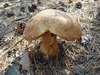 DSC03428.JPG